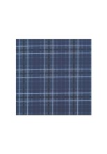 Alberto Golf Hose Rookie Revolutional Check WR Navy Herren