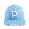 Puma Golf Cap Trucker Palms Weiß/Blau OSFA