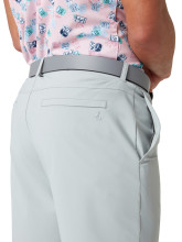 Penguin Golf Shorts The Player 9" Grau Herren